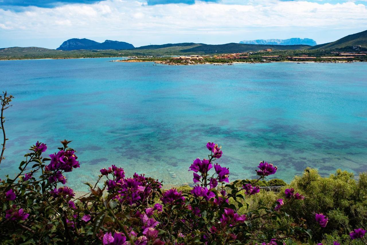 Casa Valery Wonderful Sea View Porto Rotondo