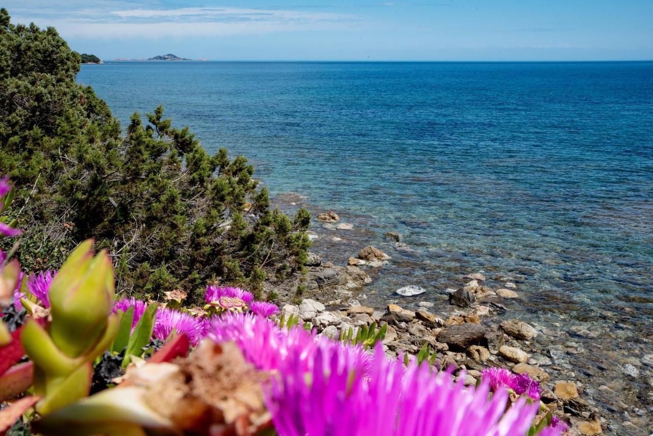Casa Valery Wonderful Sea View Appartement