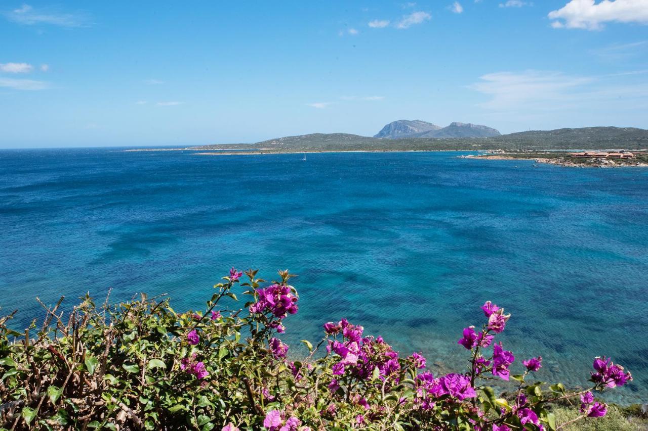 Casa Valery Wonderful Sea View * Porto Rotondo