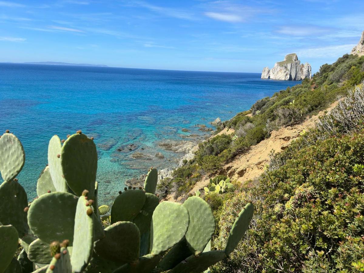 Appartement Casa Valery Wonderful Sea View *