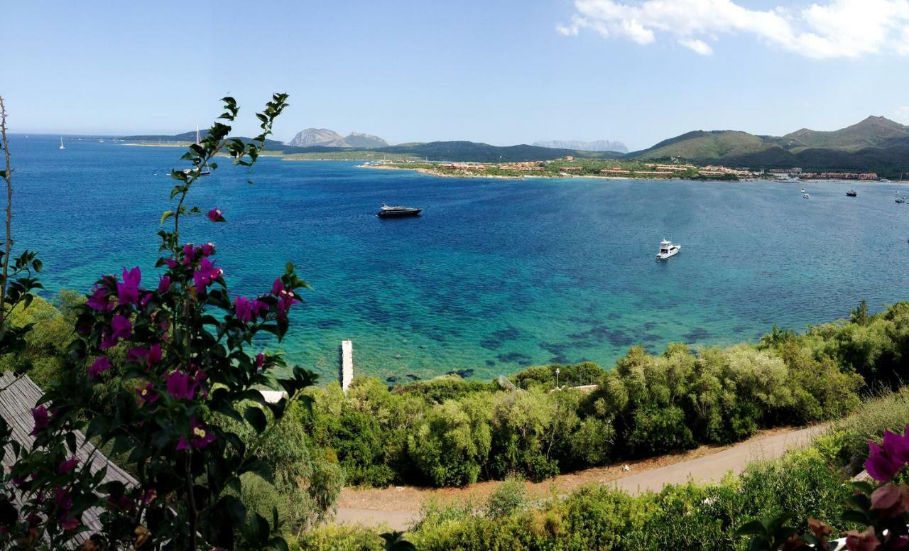 Casa Valery Wonderful Sea View Appartement