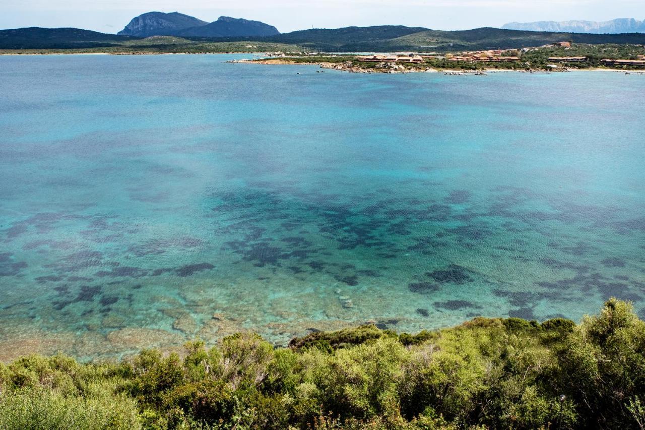 Appartement Casa Valery Wonderful Sea View *